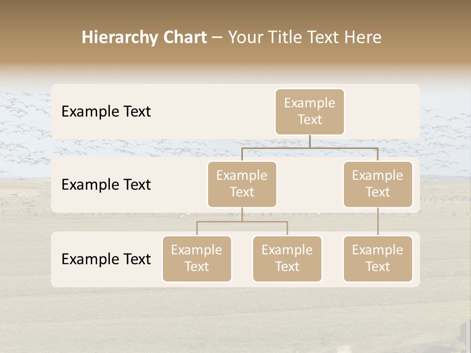 A Large Flock Of Birds Flying Over A Field PowerPoint Template