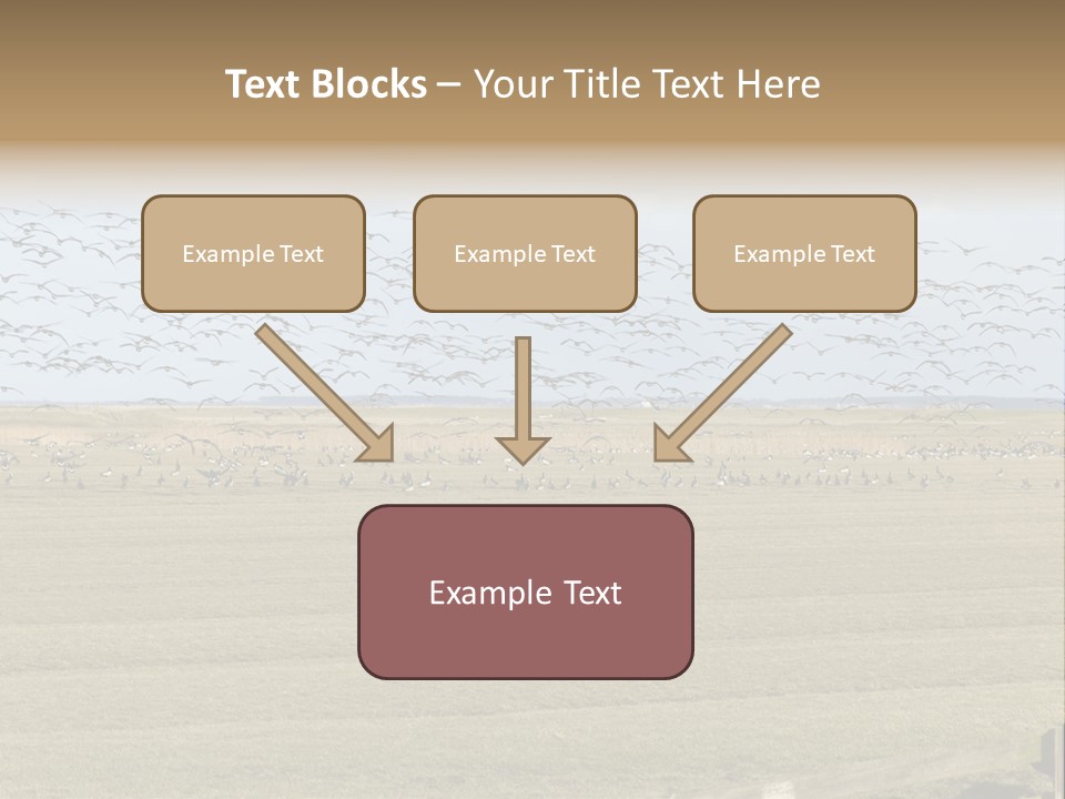 A Large Flock Of Birds Flying Over A Field PowerPoint Template