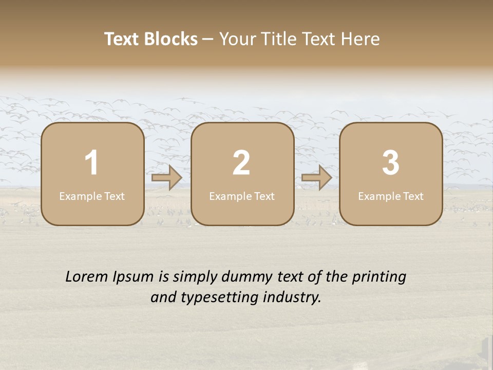 A Large Flock Of Birds Flying Over A Field PowerPoint Template