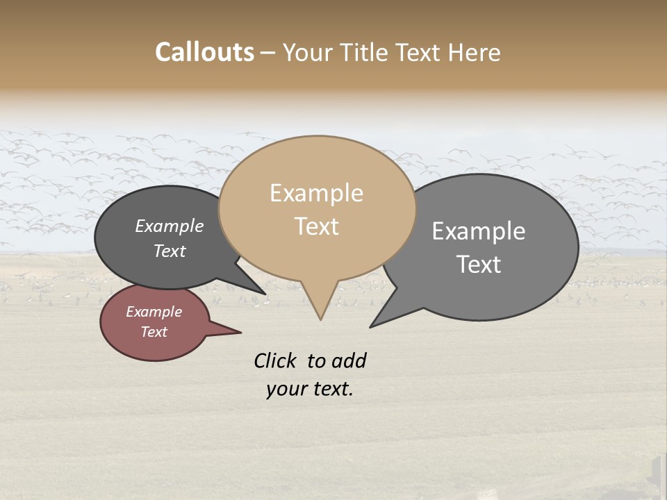 A Large Flock Of Birds Flying Over A Field PowerPoint Template