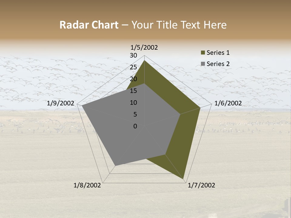 A Large Flock Of Birds Flying Over A Field PowerPoint Template