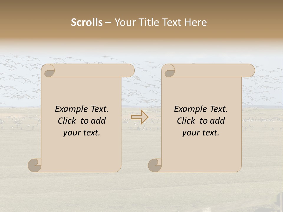 A Large Flock Of Birds Flying Over A Field PowerPoint Template