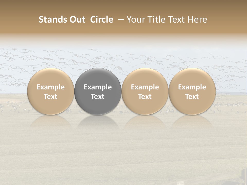 A Large Flock Of Birds Flying Over A Field PowerPoint Template