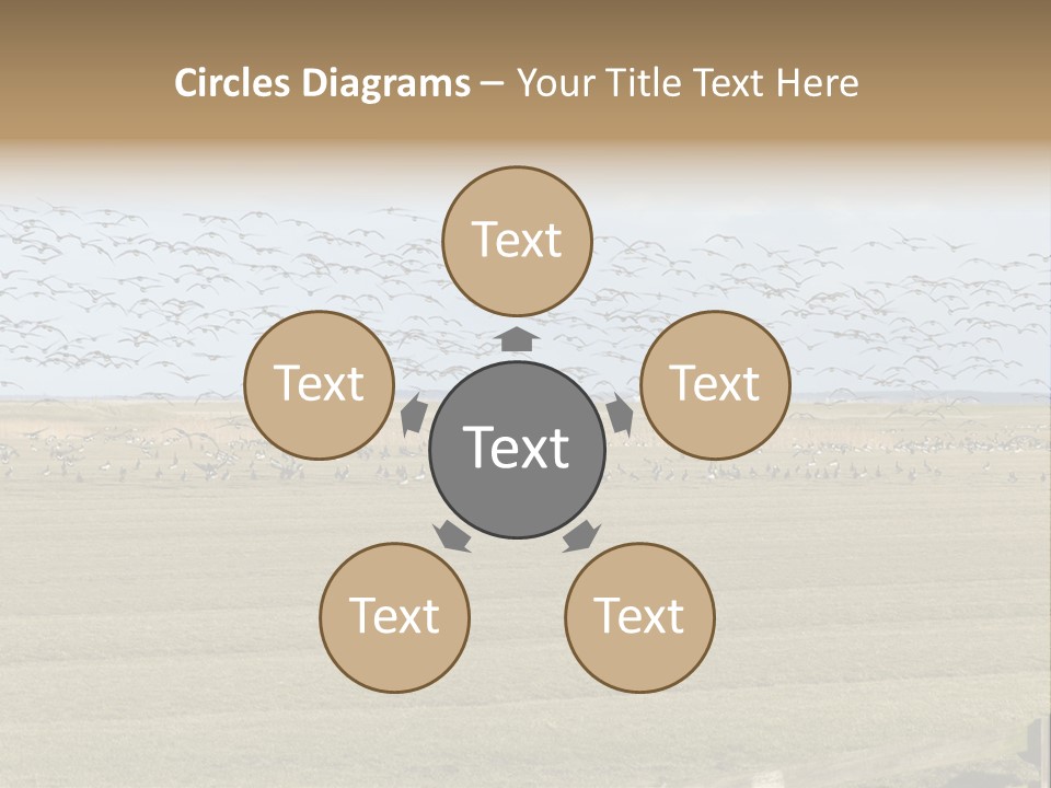 A Large Flock Of Birds Flying Over A Field PowerPoint Template