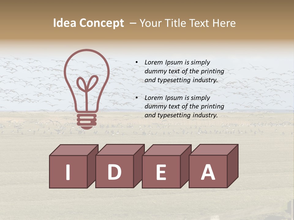 A Large Flock Of Birds Flying Over A Field PowerPoint Template