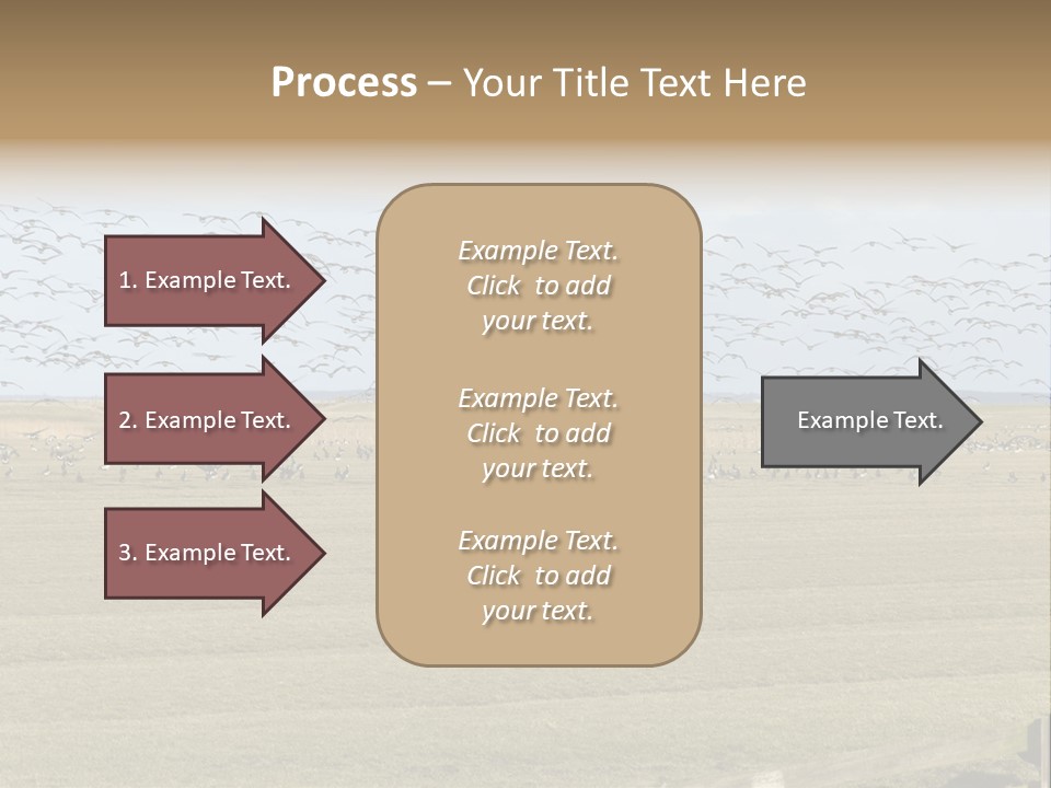 A Large Flock Of Birds Flying Over A Field PowerPoint Template