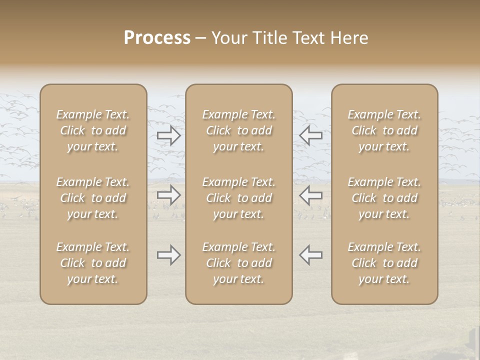 A Large Flock Of Birds Flying Over A Field PowerPoint Template