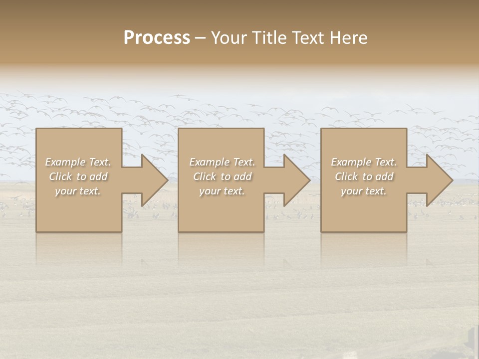 A Large Flock Of Birds Flying Over A Field PowerPoint Template