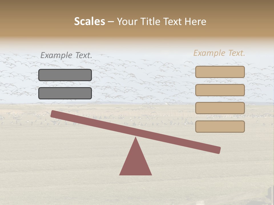 A Large Flock Of Birds Flying Over A Field PowerPoint Template
