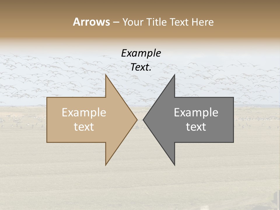 A Large Flock Of Birds Flying Over A Field PowerPoint Template