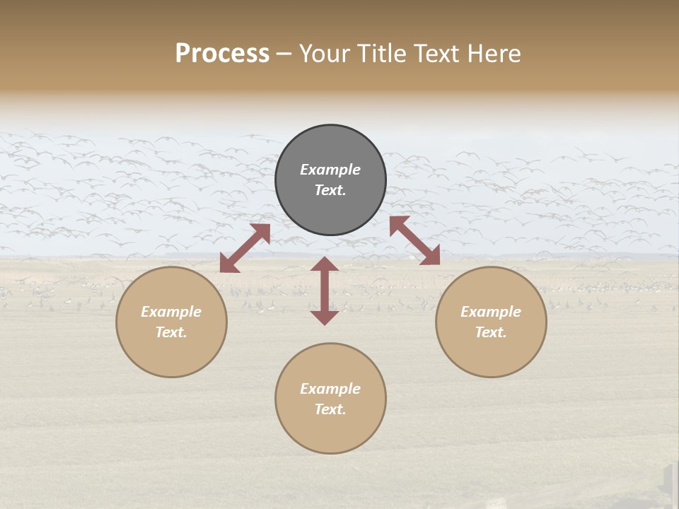 A Large Flock Of Birds Flying Over A Field PowerPoint Template