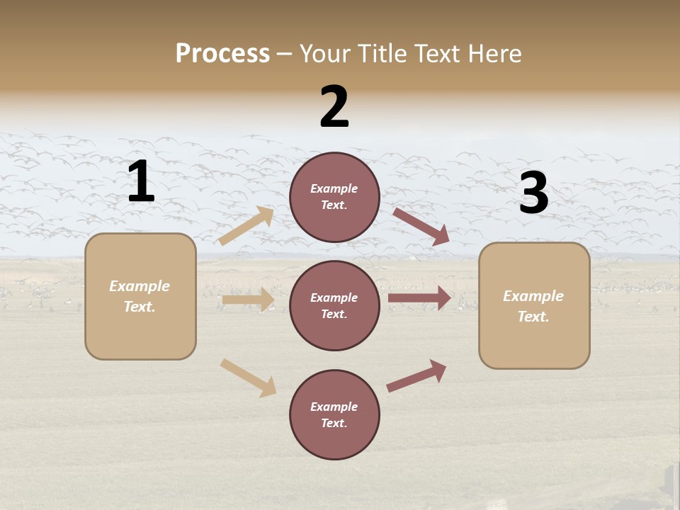A Large Flock Of Birds Flying Over A Field PowerPoint Template