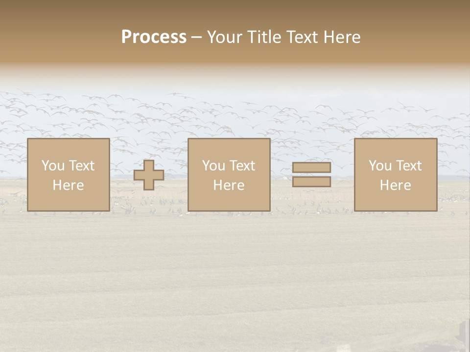 A Large Flock Of Birds Flying Over A Field PowerPoint Template