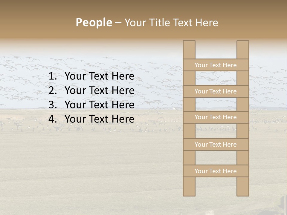 A Large Flock Of Birds Flying Over A Field PowerPoint Template