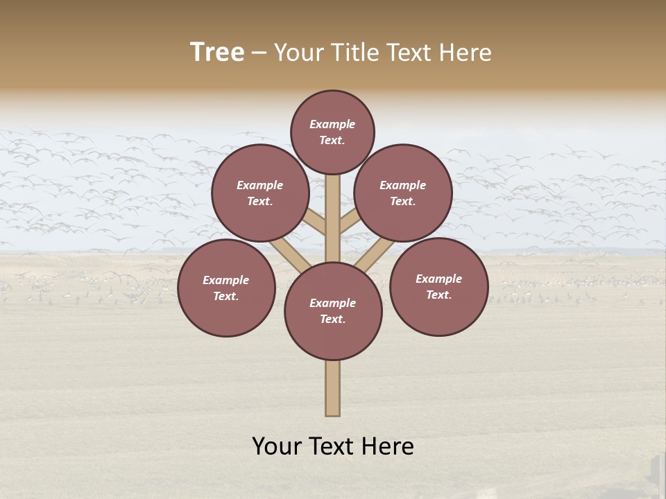 A Large Flock Of Birds Flying Over A Field PowerPoint Template