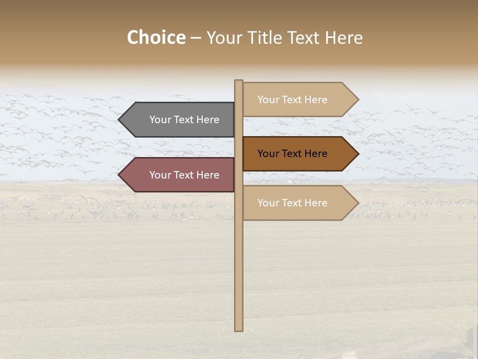 A Large Flock Of Birds Flying Over A Field PowerPoint Template