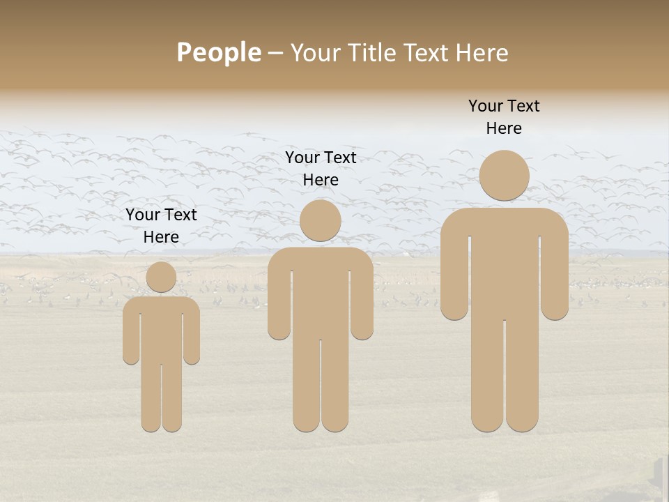 A Large Flock Of Birds Flying Over A Field PowerPoint Template