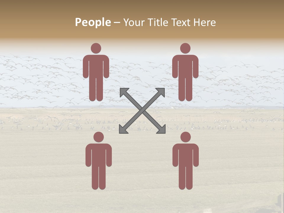 A Large Flock Of Birds Flying Over A Field PowerPoint Template