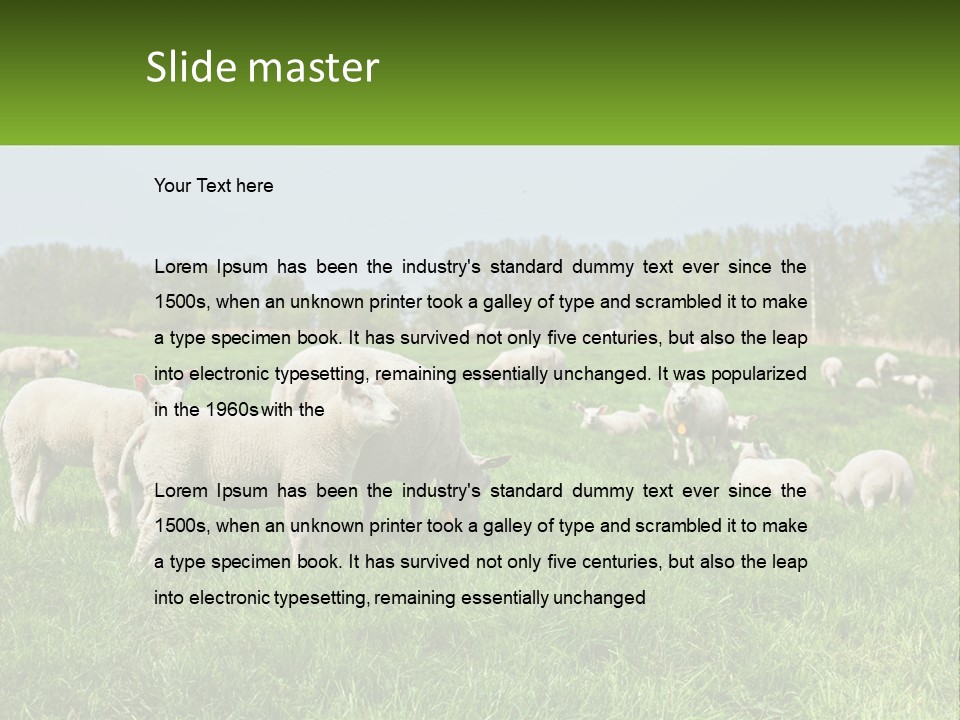 A Herd Of Sheep Standing On Top Of A Lush Green Field PowerPoint Template
