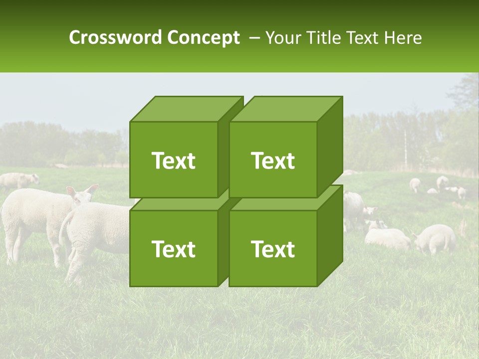 A Herd Of Sheep Standing On Top Of A Lush Green Field PowerPoint Template