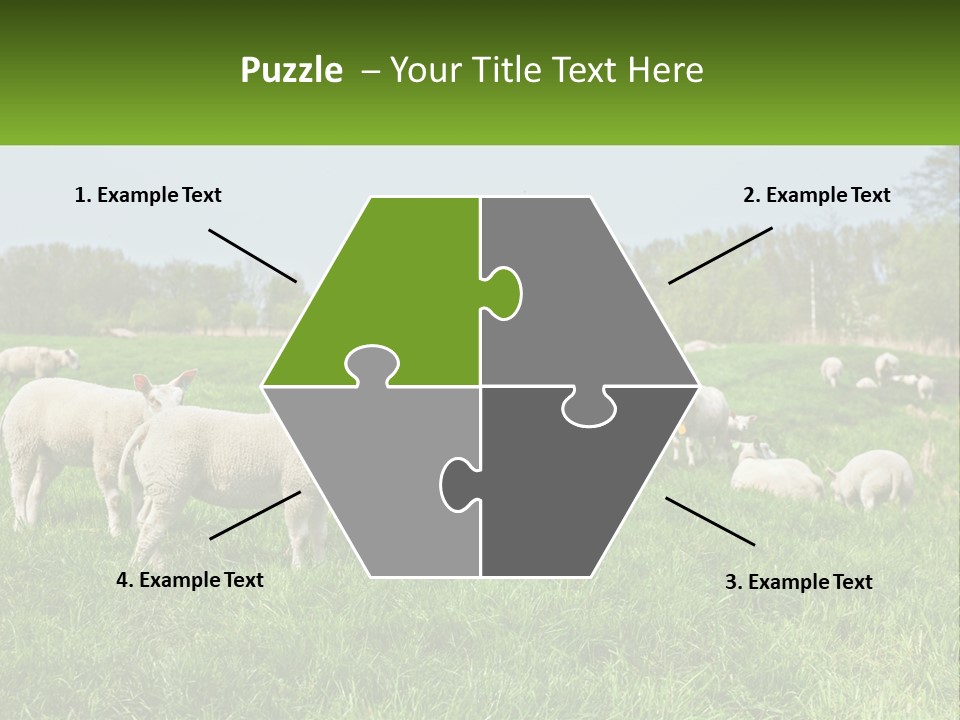 A Herd Of Sheep Standing On Top Of A Lush Green Field PowerPoint Template