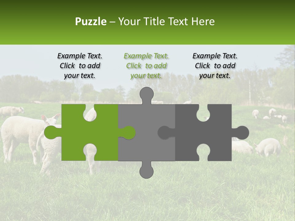 A Herd Of Sheep Standing On Top Of A Lush Green Field PowerPoint Template