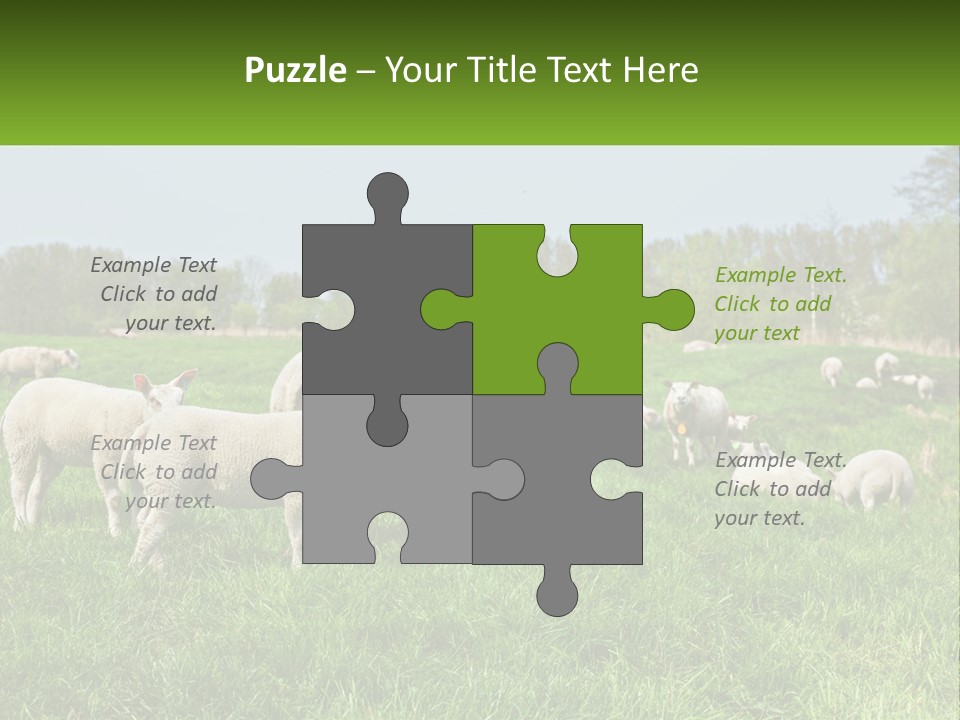 A Herd Of Sheep Standing On Top Of A Lush Green Field PowerPoint Template