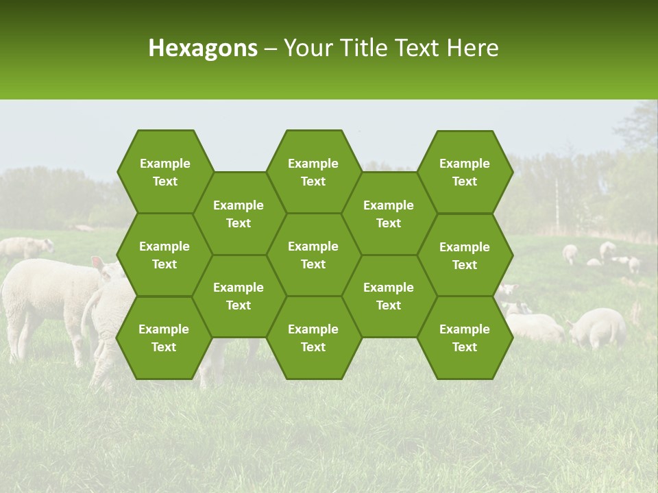 A Herd Of Sheep Standing On Top Of A Lush Green Field PowerPoint Template