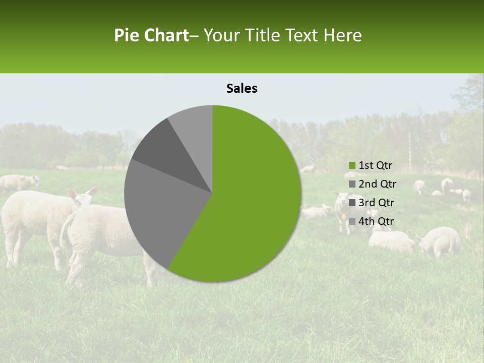 A Herd Of Sheep Standing On Top Of A Lush Green Field PowerPoint Template