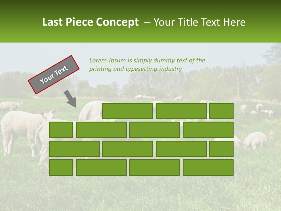 A Herd Of Sheep Standing On Top Of A Lush Green Field PowerPoint Template