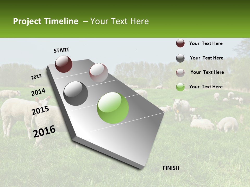 A Herd Of Sheep Standing On Top Of A Lush Green Field PowerPoint Template