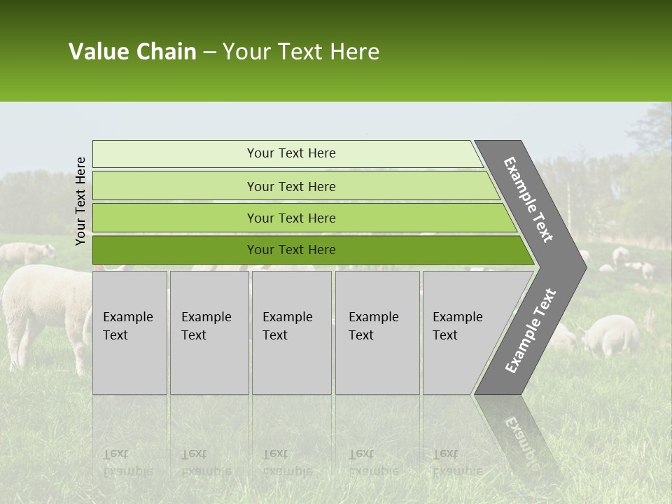 A Herd Of Sheep Standing On Top Of A Lush Green Field PowerPoint Template
