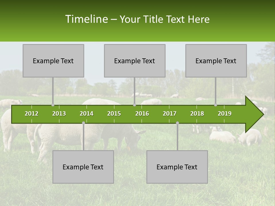 A Herd Of Sheep Standing On Top Of A Lush Green Field PowerPoint Template