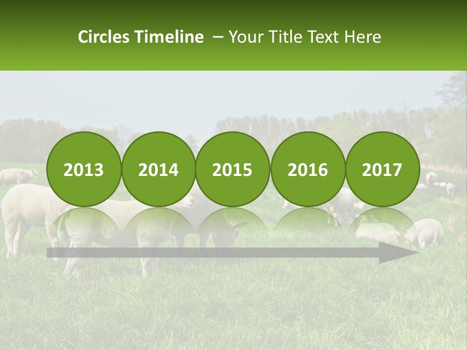 A Herd Of Sheep Standing On Top Of A Lush Green Field PowerPoint Template