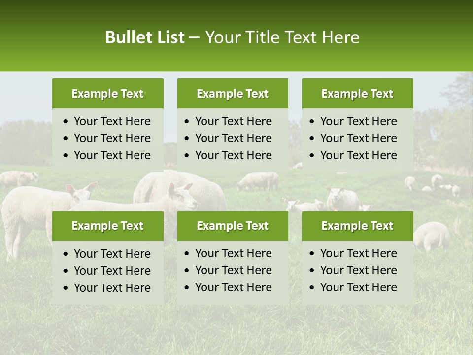 A Herd Of Sheep Standing On Top Of A Lush Green Field PowerPoint Template