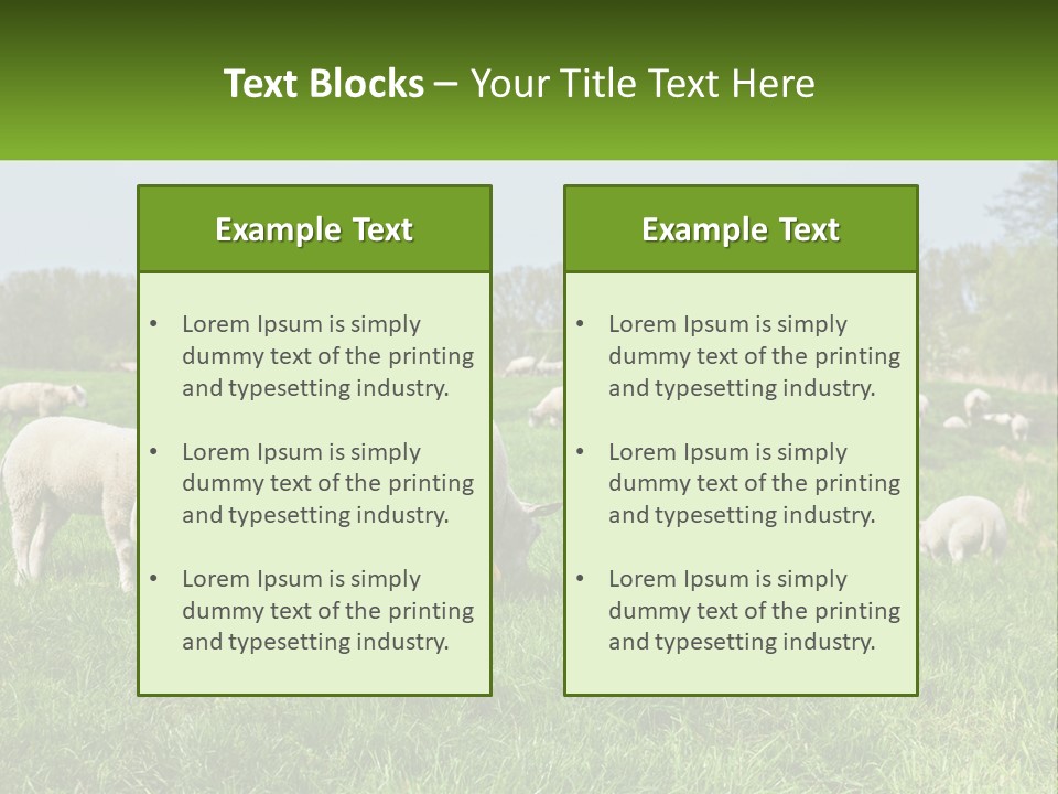 A Herd Of Sheep Standing On Top Of A Lush Green Field PowerPoint Template