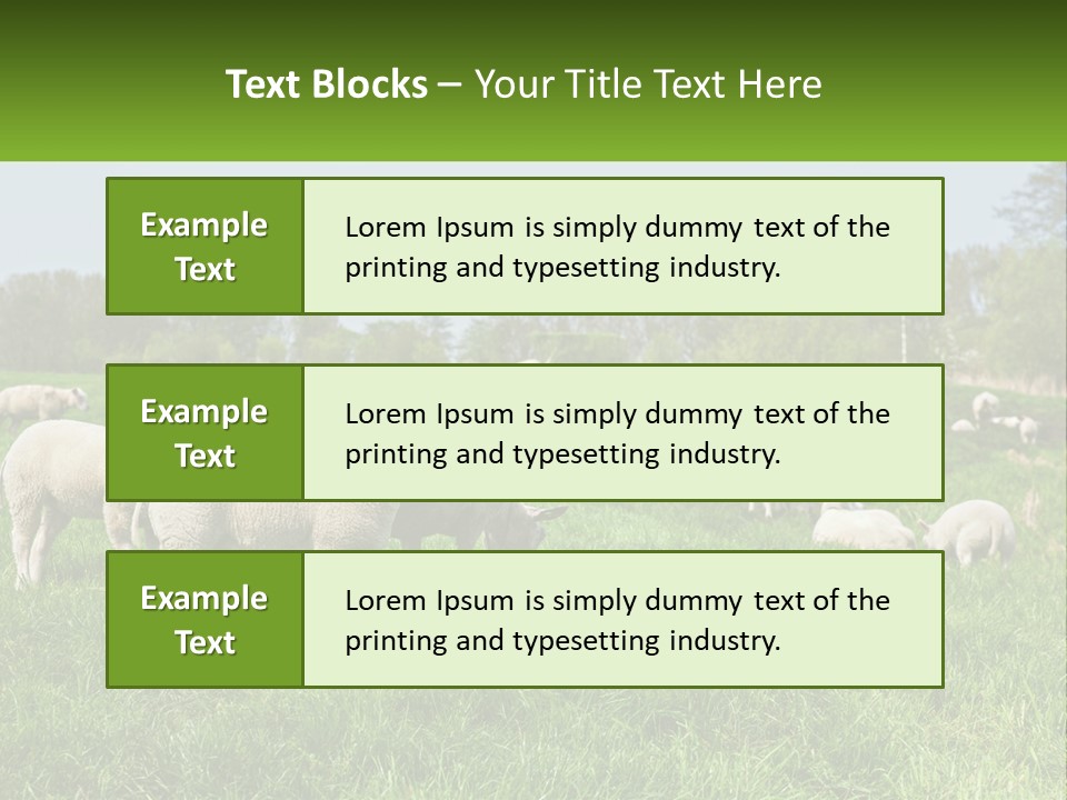 A Herd Of Sheep Standing On Top Of A Lush Green Field PowerPoint Template