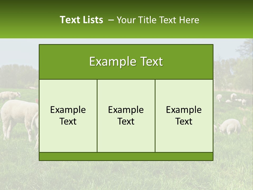 A Herd Of Sheep Standing On Top Of A Lush Green Field PowerPoint Template