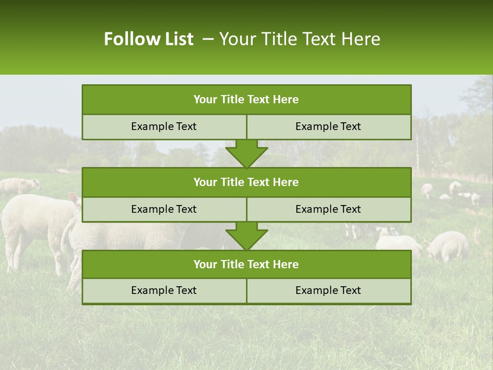 A Herd Of Sheep Standing On Top Of A Lush Green Field PowerPoint Template