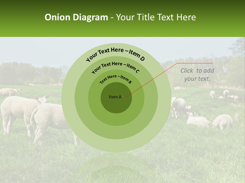 A Herd Of Sheep Standing On Top Of A Lush Green Field PowerPoint Template