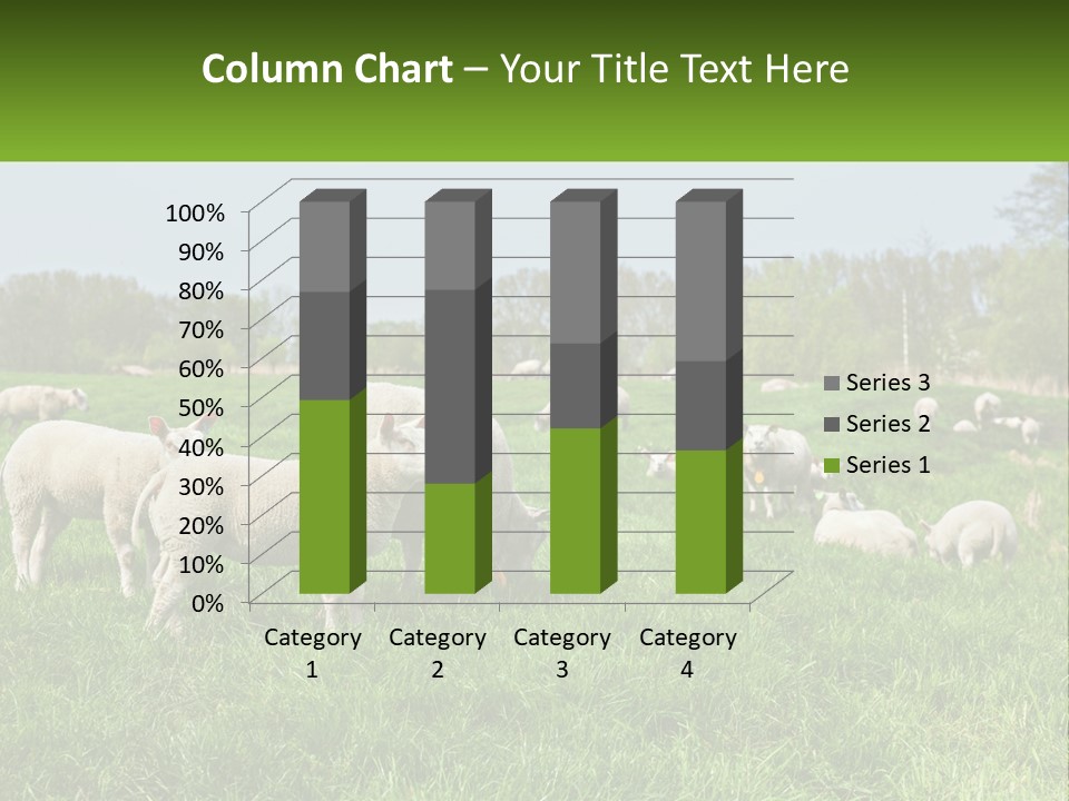 A Herd Of Sheep Standing On Top Of A Lush Green Field PowerPoint Template
