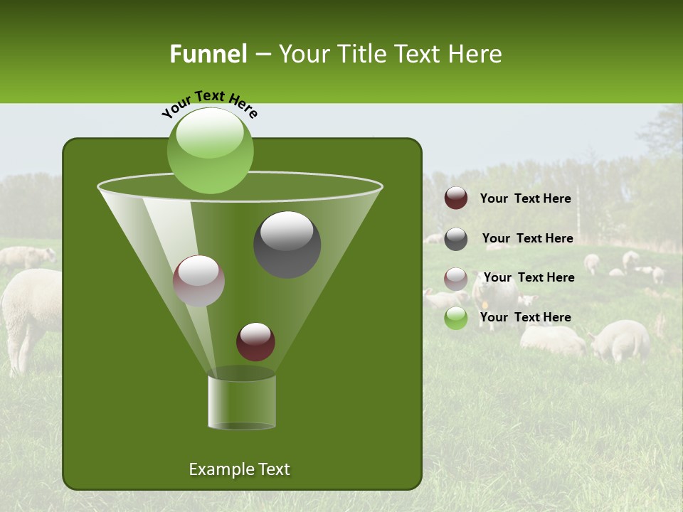 A Herd Of Sheep Standing On Top Of A Lush Green Field PowerPoint Template