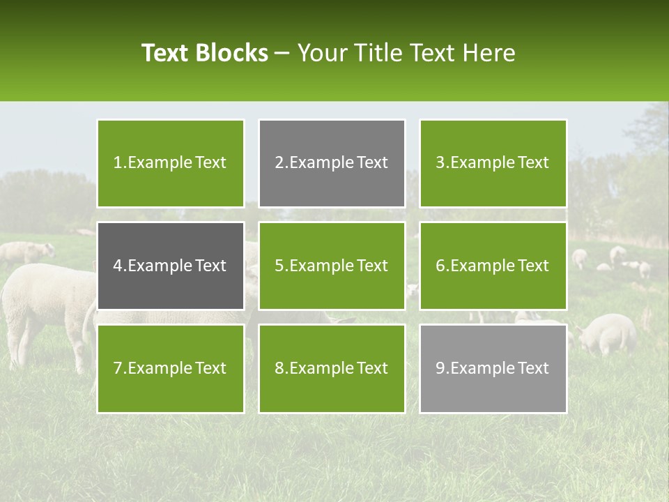 A Herd Of Sheep Standing On Top Of A Lush Green Field PowerPoint Template