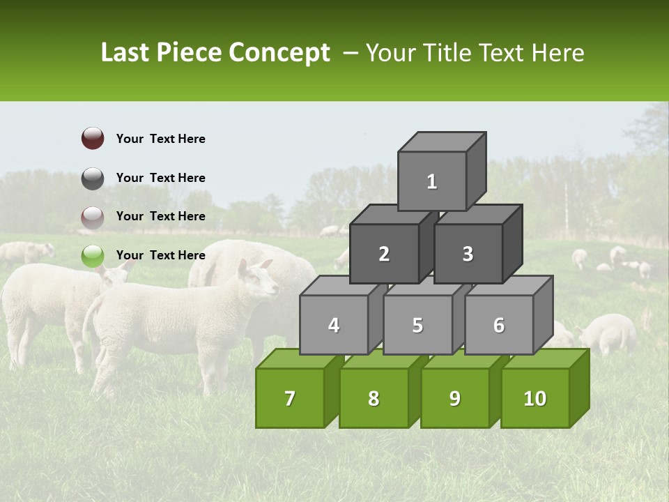 A Herd Of Sheep Standing On Top Of A Lush Green Field PowerPoint Template