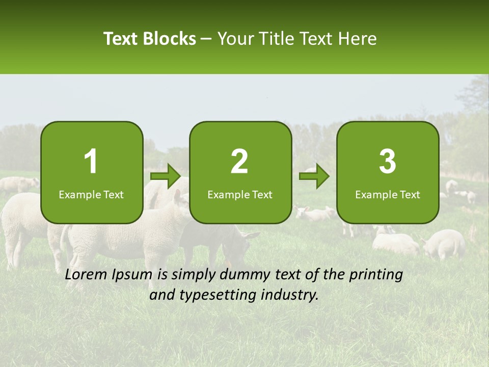 A Herd Of Sheep Standing On Top Of A Lush Green Field PowerPoint Template