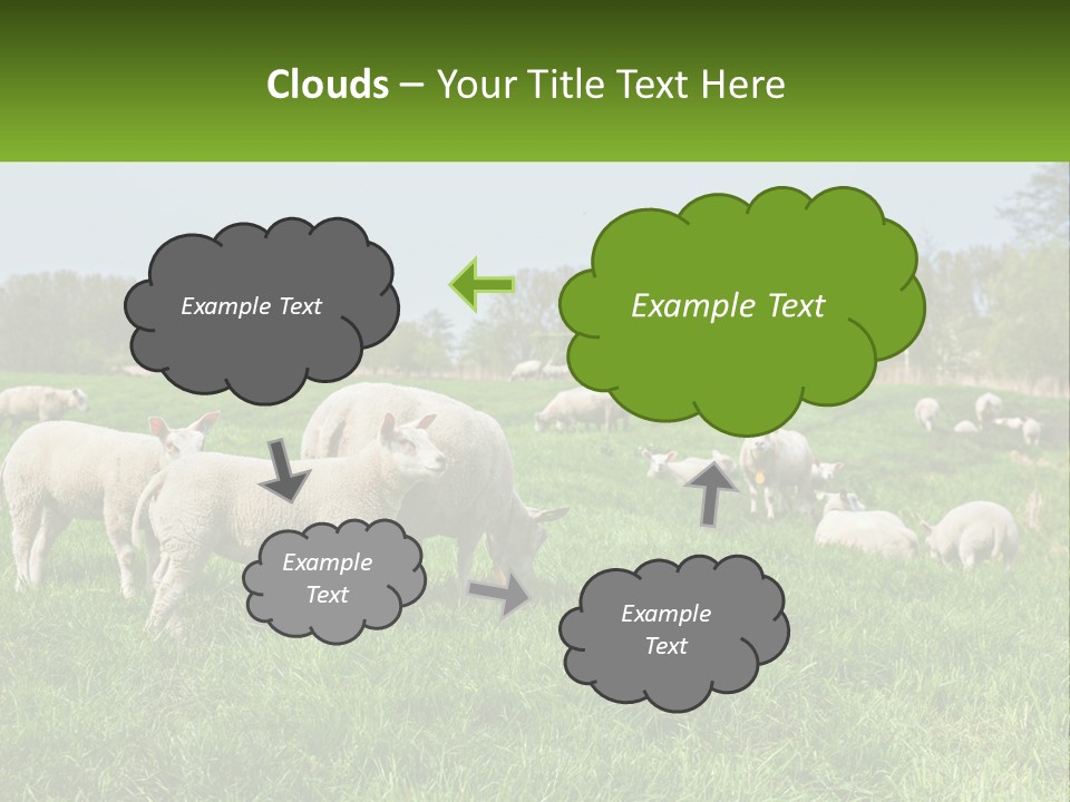 A Herd Of Sheep Standing On Top Of A Lush Green Field PowerPoint Template