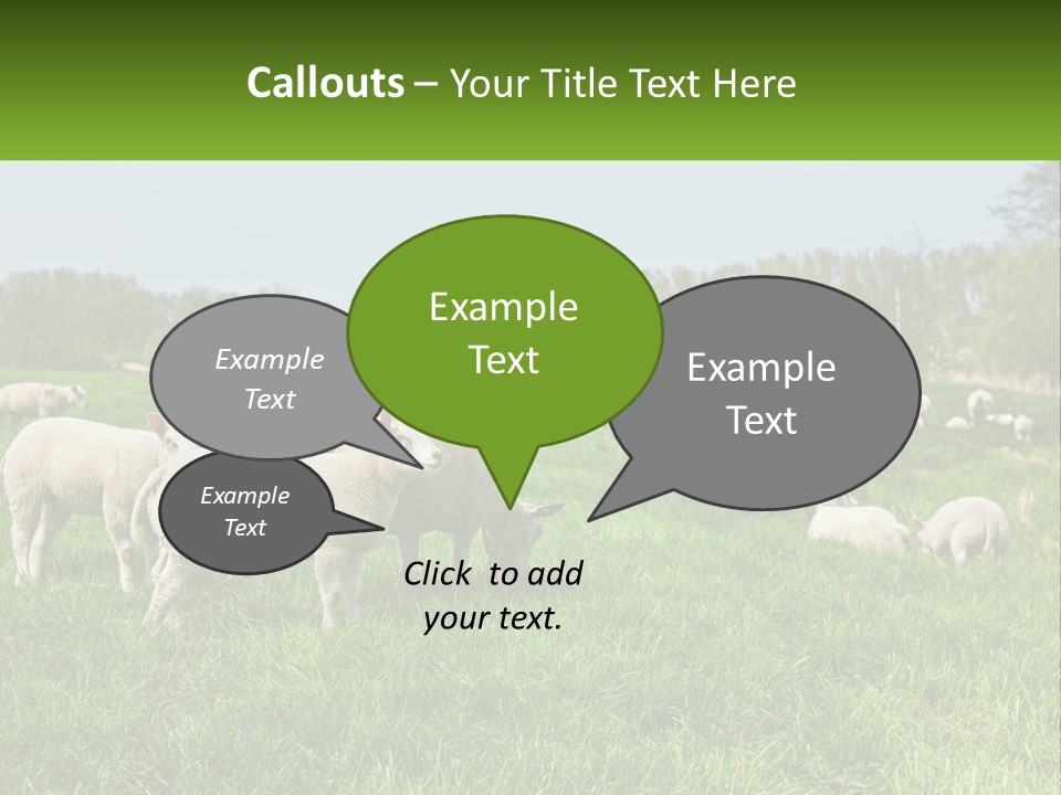 A Herd Of Sheep Standing On Top Of A Lush Green Field PowerPoint Template