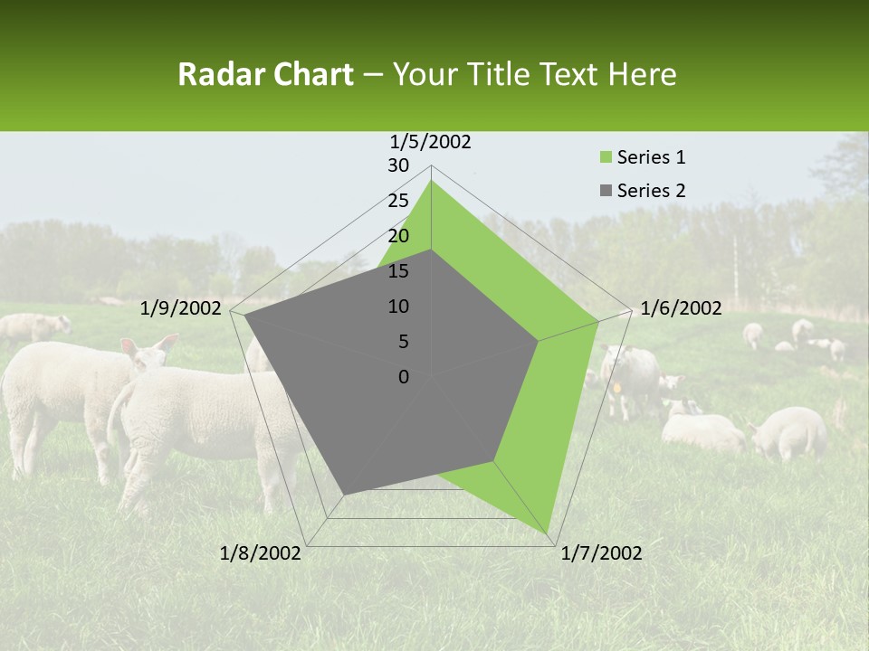 A Herd Of Sheep Standing On Top Of A Lush Green Field PowerPoint Template