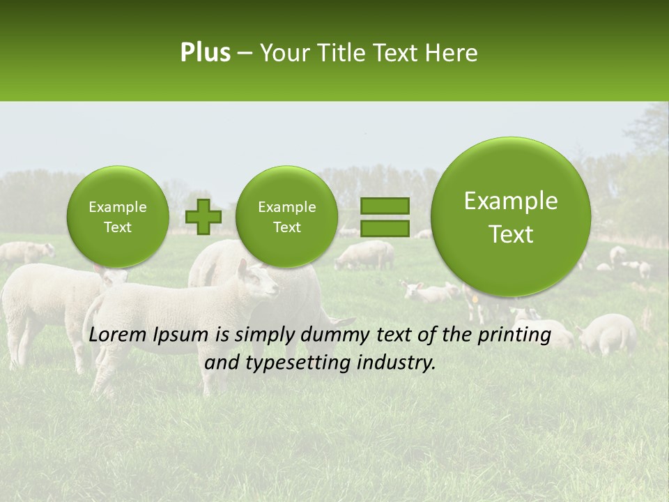 A Herd Of Sheep Standing On Top Of A Lush Green Field PowerPoint Template