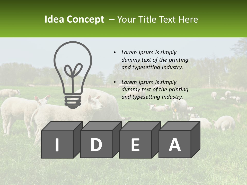 A Herd Of Sheep Standing On Top Of A Lush Green Field PowerPoint Template